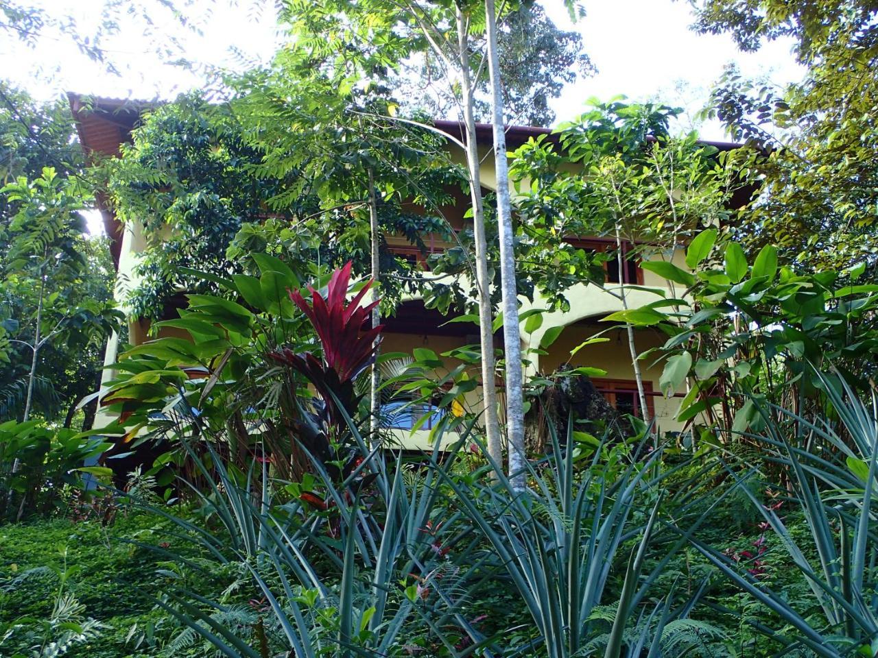 Morrillo Beach Eco Resort Εξωτερικό φωτογραφία